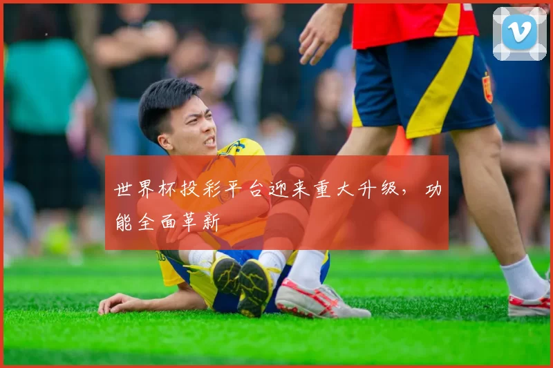 世界杯投彩平台迎来重大升级，功能全面革新