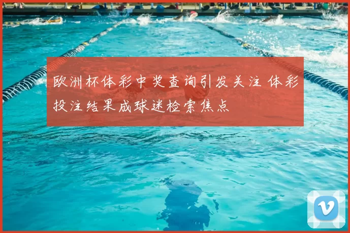欧洲杯体彩中奖查询引发关注 体彩投注结果成球迷检索焦点