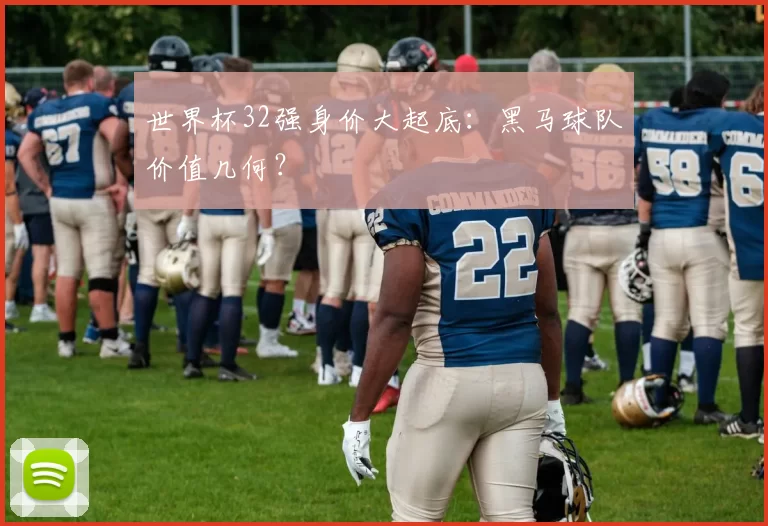 世界杯32强身价大起底:黑马球队价值几何?