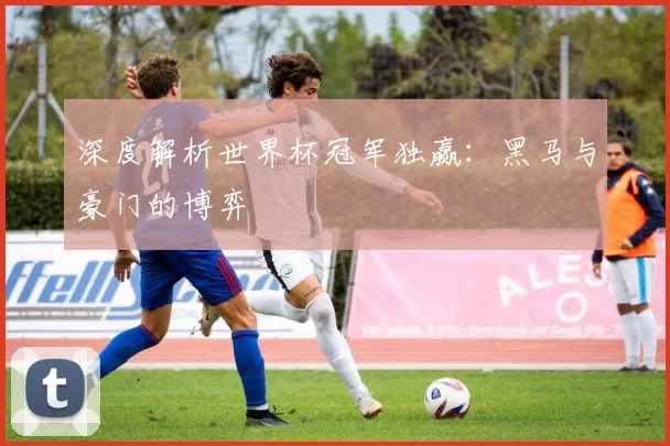 深度解析世界杯冠军独赢:黑马与豪门的博弈