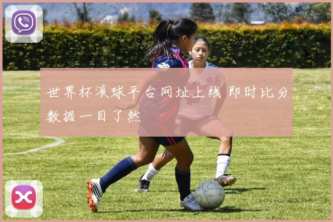 世界杯滚球平台网址上线 即时比分数据一目了然