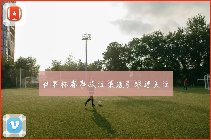 世界杯赛事投注渠道引球迷关注