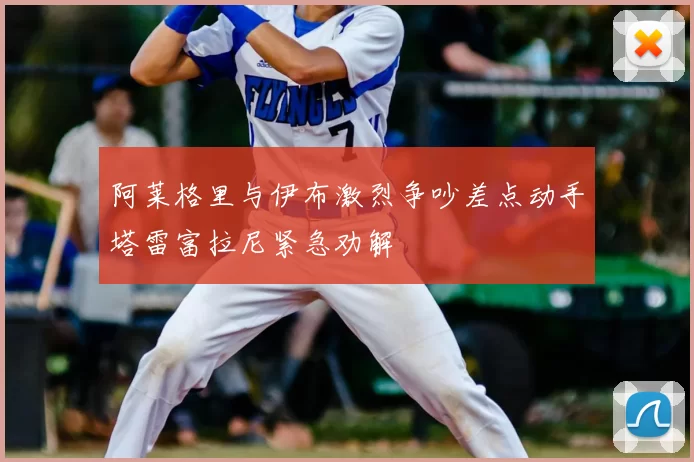 阿莱格里与伊布激烈争吵差点动手塔雷富拉尼紧急劝解