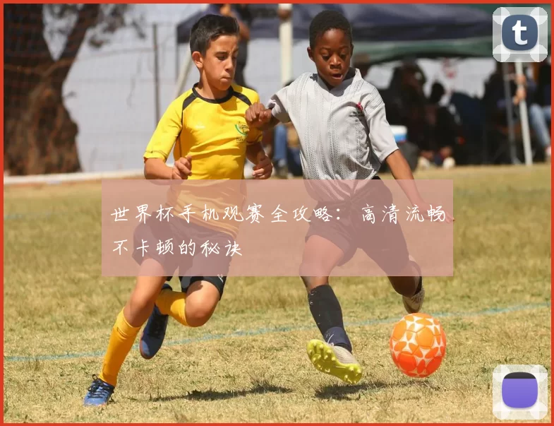 世界杯手机观赛全攻略：高清流畅不卡顿的秘诀