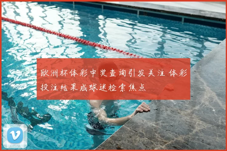 欧洲杯体彩中奖查询引发关注 体彩投注结果成球迷检索焦点