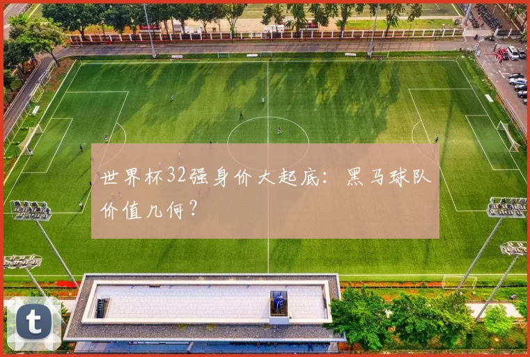 世界杯32强身价大起底:黑马球队价值几何?